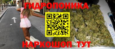 a pvp Можга