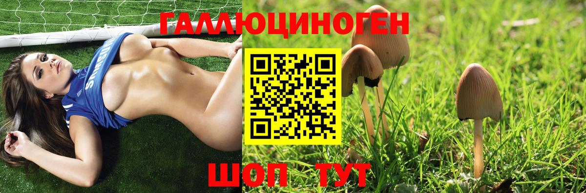 дарнет шоп  Вход с VPN  Унеча  Псилоцибиновые грибы мухоморы 